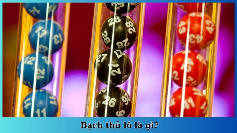 Bạch thủ lô là gì?