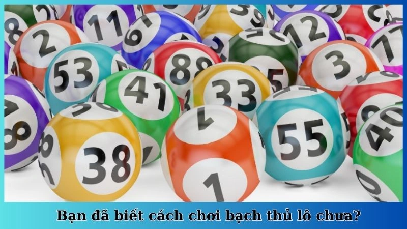 Bạn đã biết cách chơi bạch thủ lô chưa?
