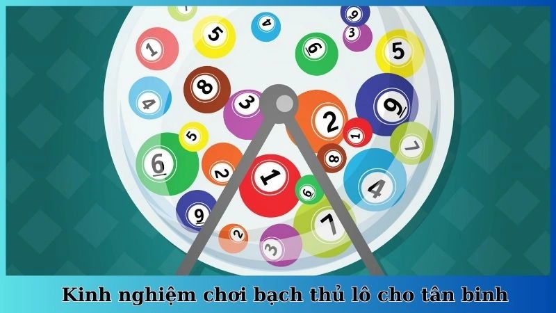 Kinh nghiệm chơi bạch thủ lô cho tân binh