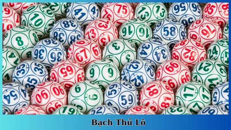 bạch thủ lô