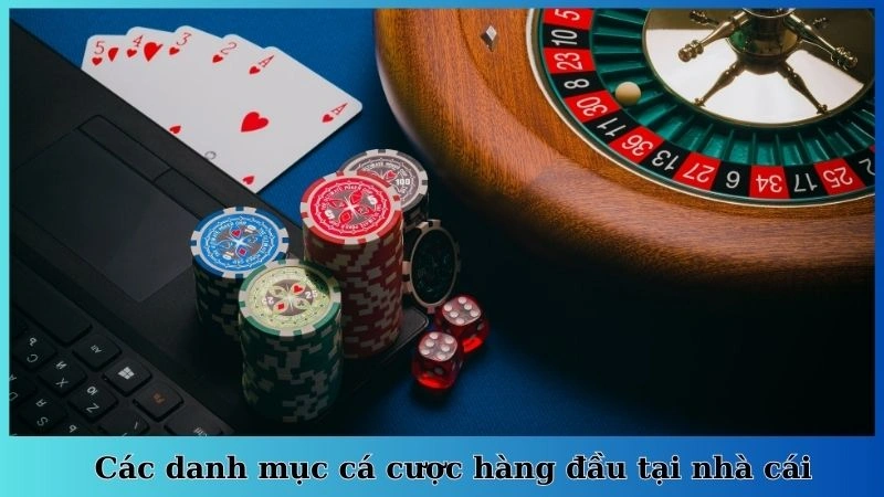 Các danh mục cá cược hàng đầu tại nhà cái